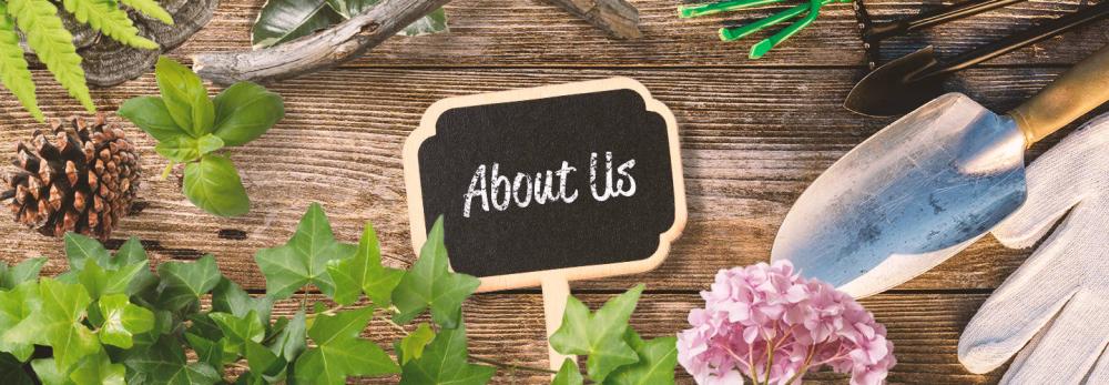 Frequently Asked Questions Frequently Asked Questions