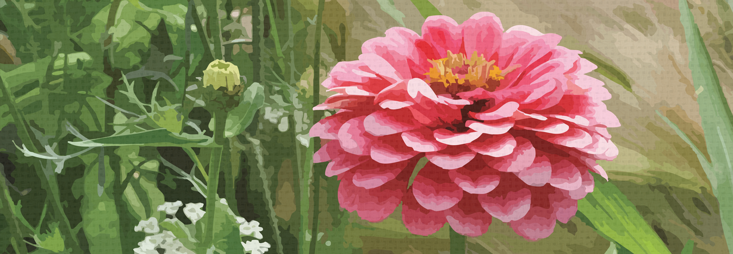 Premium Garden Range