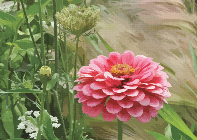 Premium Garden Range