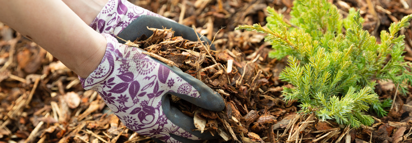 Premium Garden Range