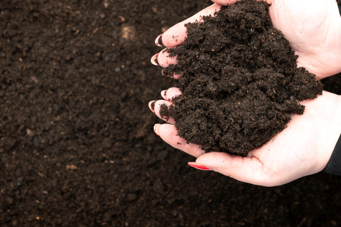 Top Soil