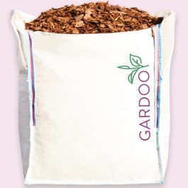 Pine Ornamental Play