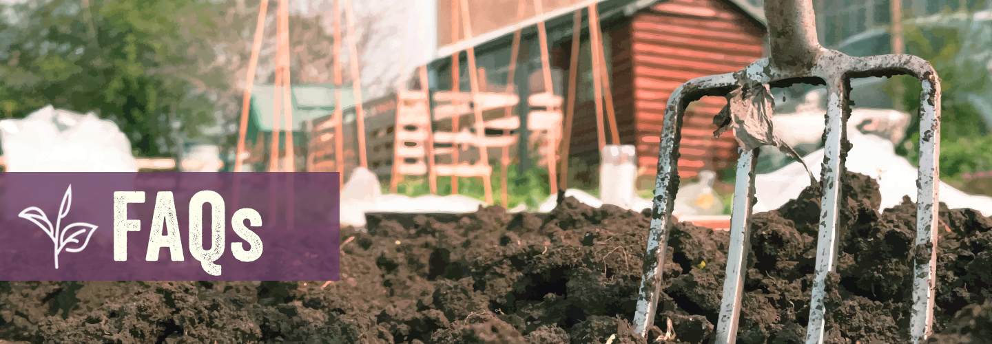 Frequently Asked Questions