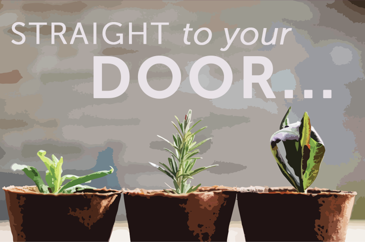 Gardoo - Straight to your Door