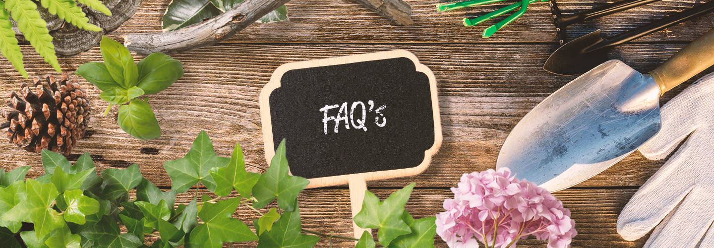 Frequently Asked Questions Frequently Asked Questions